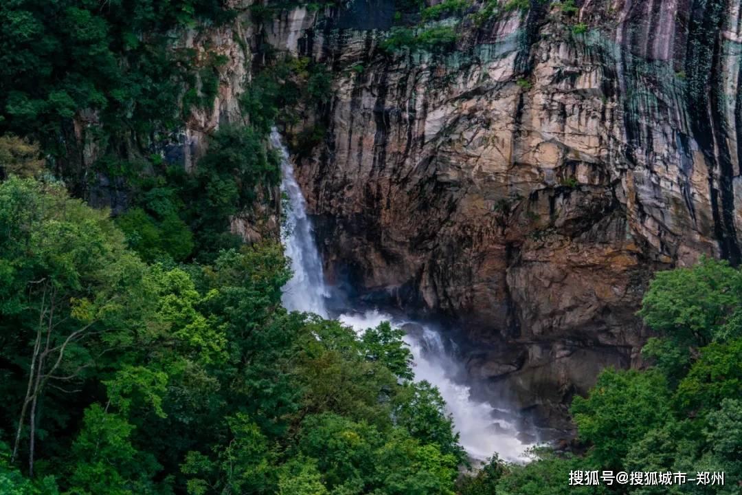 沪江开心词场